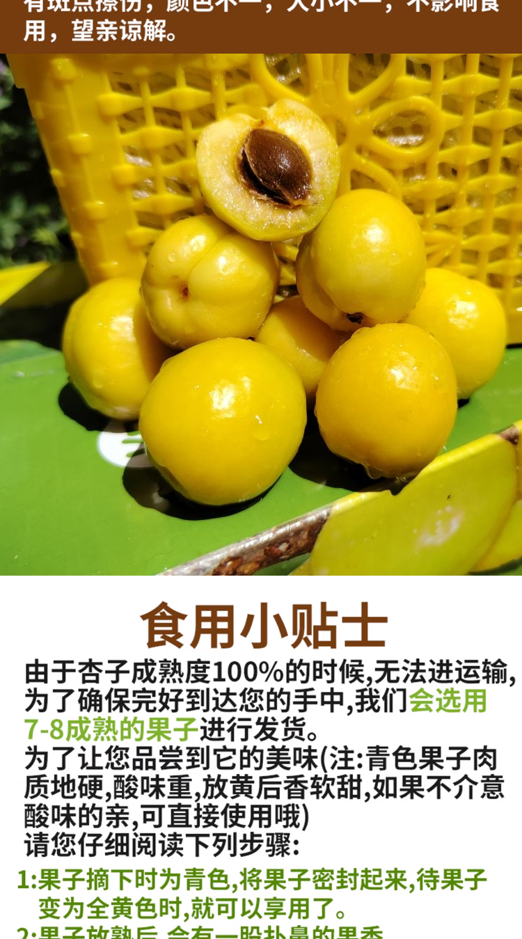 xiaobaix_05.jpg
