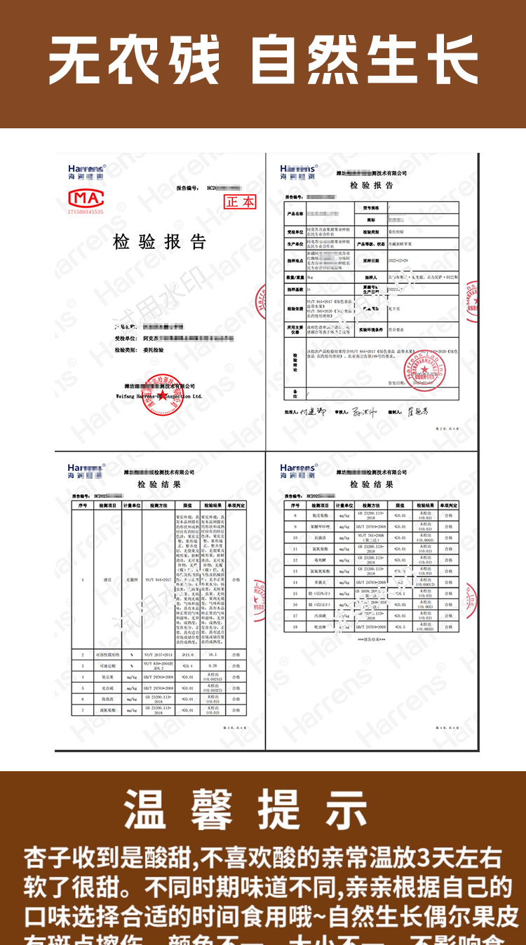 xiaobaix_04.jpg