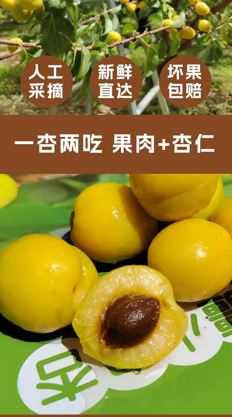 xiaobaix_03.jpg