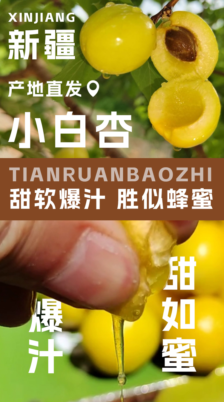 xiaobaix_01.jpg