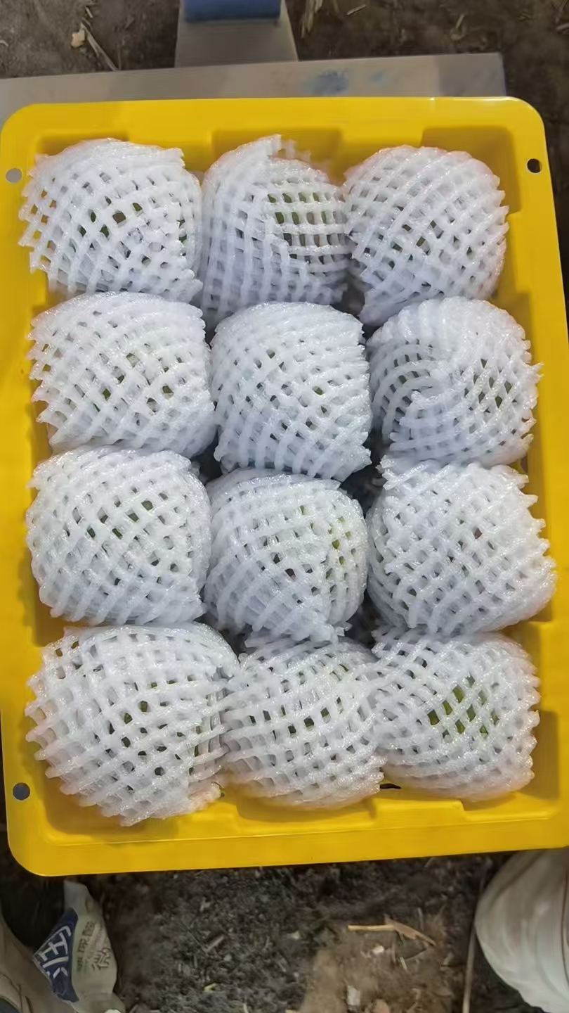 微信图片_20260701113430_302_798.jpg