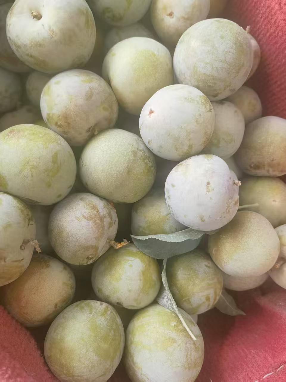 微信图片_20260701113432_305_798.jpg