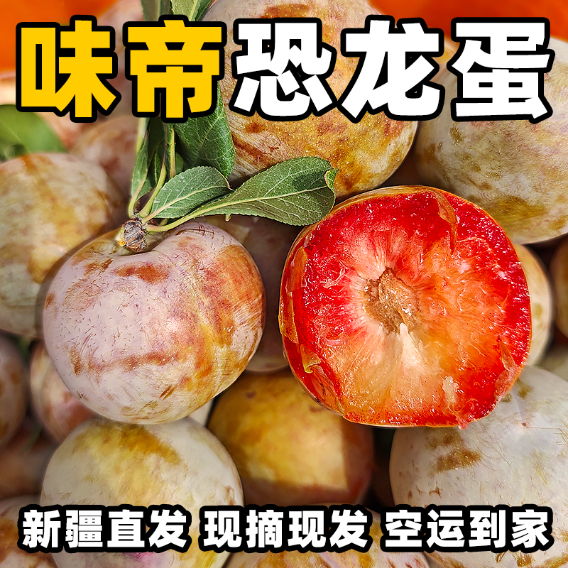 未标题-1.jpg