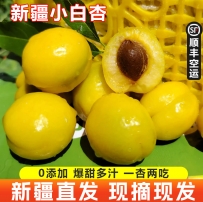 小白杏电商主图