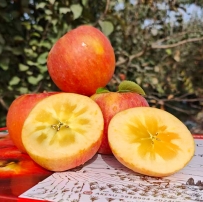 通用主图不带文字800*800pi【17张】带白底图