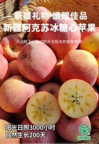 2025年阿克苏苹果详情页