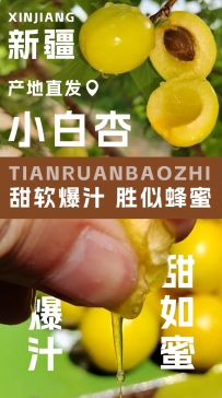 小白杏电商详情页